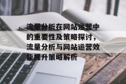 流量分析在网站运营中的重要性及策略探讨，流量分析与网站运营效能提升策略解析