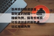 忻州农村投资创业,赚取财富的秘籍——以红辣椒为例,探寻忻州农村投资创业的新机遇,以红辣椒为例 忻州农村投资创业,赚取财富的秘籍——以红辣椒为例,探寻忻州农村投资创业的新机遇,以红辣椒为例
