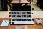 深度解析，FLOW流量消耗网站，揭秘其背后的秘密与应对策略，揭秘FLOW流量消耗之谜，深度解析与应对攻略