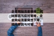 企业网站流量瘫痪，揭秘原因与应对策略，企业网站流量突然下降，揭秘原因与对策