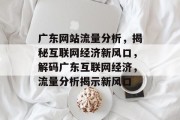 广东网站流量分析，揭秘互联网经济新风口，解码广东互联网经济，流量分析揭示新风口
