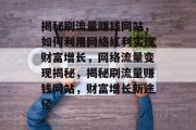 揭秘刷流量赚钱网站，如何利用网络红利实现财富增长，网络流量变现揭秘，揭秘刷流量赚钱网站，财富增长新途径