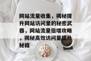 网站流量收集，揭秘提升网站访问量的秘密武器，网站流量倍增攻略，揭秘高效访问量提升秘籍