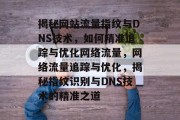 揭秘网站流量指纹与DNS技术，如何精准追踪与优化网络流量，网络流量追踪与优化，揭秘指纹识别与DNS技术的精准之道