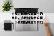 小麦,在现代农业中的商机,农民转型新农耕,小麦的新机遇与挑战 小麦,在现代农业中的商机,农民转型新农耕,小麦的新机遇与挑战
