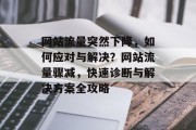 网站流量突然下降，如何应对与解决？网站流量骤减，快速诊断与解决方案全攻略