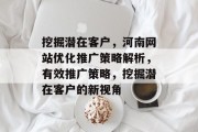 挖掘潜在客户，河南网站优化推广策略解析，有效推广策略，挖掘潜在客户的新视角
