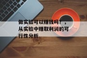 做实验可以赚钱吗?,从实验中赚取利润的可行性分析 做实验可以赚钱吗?,从实验中赚取利润的可行性分析