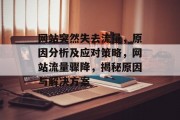 网站突然失去流量，原因分析及应对策略，网站流量骤降，揭秘原因与解决方案