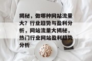 揭秘，做哪种网站流量大？行业趋势与盈利分析，网站流量大揭秘，热门行业网站盈利趋势分析