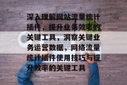深入理解网站流量统计插件,提升业务效率的关键工具,洞察关键业务运营数据,网络流量统计插件使用技巧与提升效率的关键工具 深入理解网站流量统计插件,提升业务效率的关键工具,洞察关键业务运营数据,网络流量统计插件使用技巧与提升效率的关键工具