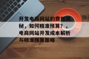 开发电商网站的费用揭秘，如何精准预算？，电商网站开发成本解析与精准预算策略