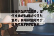 揭秘网站真实流量，如何准确评估网站价值与潜力，精准评估网站价值与流量的秘密解析