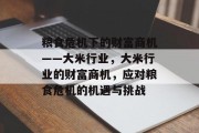 粮食危机下的财富商机——大米行业,大米行业的财富商机,应对粮食危机的机遇与挑战 粮食危机下的财富商机——大米行业,大米行业的财富商机,应对粮食危机的机遇与挑战