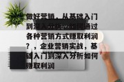 做好营销,从基础入门到深入分析,如何通过各种营销方式赚取利润?,企业营销实战,基础入门到深入分析如何赚取利润 做好营销,从基础入门到深入分析,如何通过各种营销方式赚取利润?,企业营销实战,基础入门到深入分析如何赚取利润