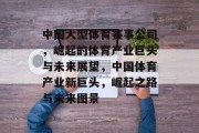 中国大型体育赛事公司，崛起的体育产业巨头与未来展望，中国体育产业新巨头，崛起之路与未来图景