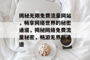 揭秘无限免费流量网站，畅享网络世界的秘密通道，揭秘网络免费流量秘密，畅游无界新通道
