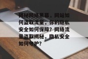 揭秘网络黑幕，网站如何盗取流量，你的隐私安全如何保障？网络流量盗取揭秘，隐私安全如何守护？