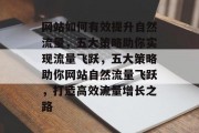 网站如何有效提升自然流量，五大策略助你实现流量飞跃，五大策略助你网站自然流量飞跃，打造高效流量增长之路