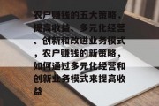 农户赚钱的五大策略,提高收益、多元化经营、创新和改进业务模式,农户赚钱的新策略,如何通过多元化经营和创新业务模式来提高收益 农户赚钱的五大策略,提高收益、多元化经营、创新和改进业务模式,农户赚钱的新策略,如何通过多元化经营和创新业务模式来提高收益
