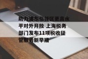 助力浦东引领区更高水平对外开放 上海税务部门发布11项税收征管服务新举措
