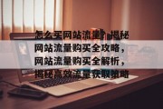 怎么买网站流量？揭秘网站流量购买全攻略，网站流量购买全解析，揭秘高效流量获取策略