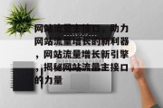 网站流量主接口，助力网站流量增长的新利器，网站流量增长新引擎，揭秘网站流量主接口的力量