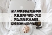 深入解析网站流量参数，优化策略与提升方法，网站流量优化秘籍，深度解析与提升策略