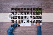 揭秘网站真实流量查看方法，助你精准把握网站运营脉搏，网站流量真相揭秘，精准运营策略指南