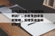 如何通过做小批发赚取利润？，小批发创业盈利策略，实现快速盈利的秘诀
