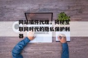 网站插件代理,揭秘互联网时代的隐私保护利器 网站插件代理,揭秘互联网时代的隐私保护利器