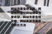 网站流量变现之路，揭秘如何通过网站赚取流量收益，网站流量变现攻略，揭秘高效流量收益转化方法