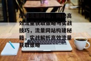 搭建流量网站，揭秘高效流量获取策略与实战技巧，流量网站构建秘籍，实战解析高效流量获取策略