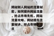 揭秘别人网站的流量秘密，如何提升网站流量，抢占市场先机，网站流量攻略，揭秘提升流量秘诀，抢占市场制高点