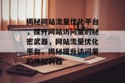 揭秘网站流量优化平台，提升网站访问量的秘密武器，网站流量优化平台，揭秘提升访问量的神秘利器
