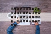 揭秘网站流量买卖，如何让你的网站实现高效变现，网站流量变现秘籍，揭秘高效流量买卖策略
