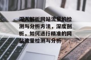 深入解析网站流量的检测与分析方法,深度剖析,如何进行精准的网站流量检测与分析 深入解析网站流量的检测与分析方法,深度剖析,如何进行精准的网站流量检测与分析