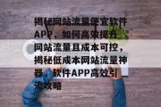 揭秘网站流量便宜软件APP，如何高效提升网站流量且成本可控，揭秘低成本网站流量神器，软件APP高效引流攻略