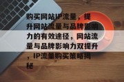购买网站IP流量，提升网站流量与品牌影响力的有效途径，网站流量与品牌影响力双提升，IP流量购买策略揭秘