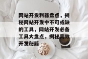 网站开发利器盘点，揭秘网站开发中不可或缺的工具，网站开发必备工具大盘点，揭秘高效开发秘籍