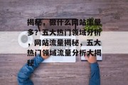 揭秘，做什么网站流量多？五大热门领域分析，网站流量揭秘，五大热门领域流量分析大揭秘
