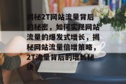 揭秘2T网站流量背后的秘密，如何实现网站流量的爆发式增长，揭秘网站流量倍增策略，2T流量背后的增长秘诀