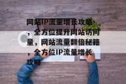 网站IP流量增长攻略，全方位提升网站访问量，网站流量翻倍秘籍，全方位IP流量增长攻略