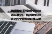 杨浦地区投资创业的机遇与挑战,杨浦地区投资创业的独特机遇与挑战