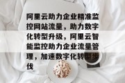 阿里云助力企业精准监控网站流量，助力数字化转型升级，阿里云智能监控助力企业流量管理，加速数字化转型步伐