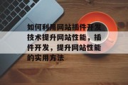 如何利用网站插件开发技术提升网站性能,插件开发,提升网站性能的实用方法 如何利用网站插件开发技术提升网站性能,插件开发,提升网站性能的实用方法