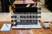 实时统计网站流量数据，揭秘网站运营背后的秘密，网站流量背后的真相，实时数据分析大揭秘