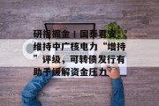研报掘金丨国泰君安:维持中广核电力“增持”评级,可转债发行有助于缓解资金压力 研报掘金丨国泰君安:维持中广核电力“增持”评级,可转债发行有助于缓解资金压力