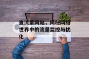 查流量网站,揭秘网络世界中的流量监控与优化 查流量网站,揭秘网络世界中的流量监控与优化