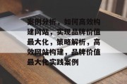 案例分析，如何高效构建网站，实现品牌价值最大化，策略解析，高效网站构建，品牌价值最大化实践案例